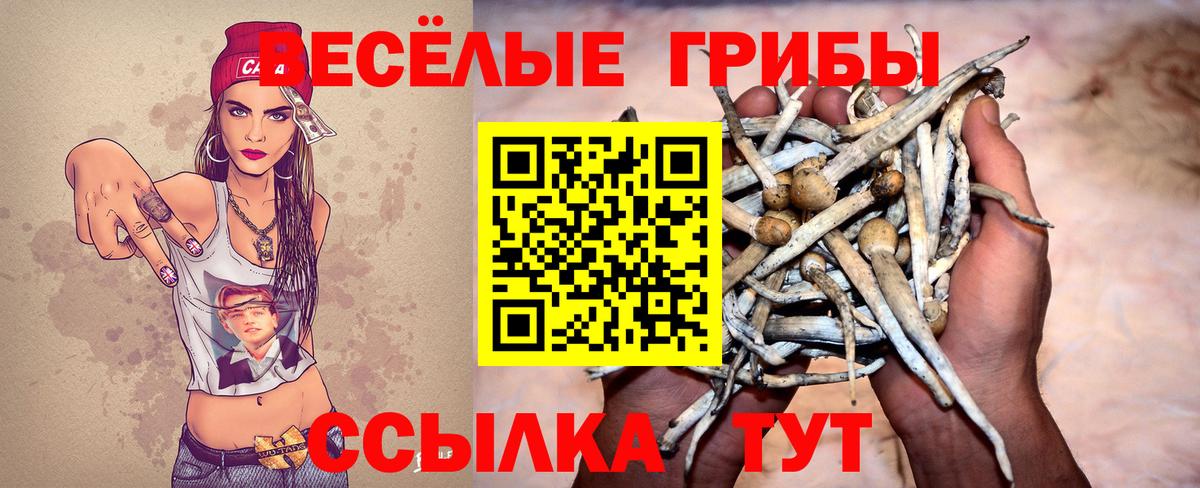 закладка  Вход с VPN  Елец  Псилоцибиновые грибы ЛСД 