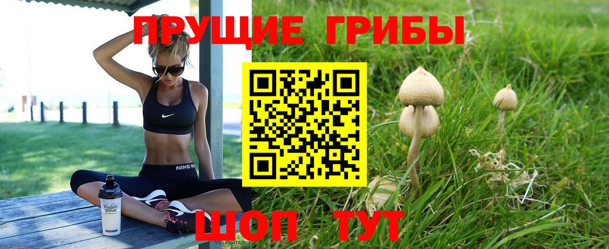 Псилоцибиновые грибы Psilocybine cubensis Елец