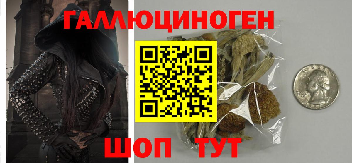 A-PVP Елец